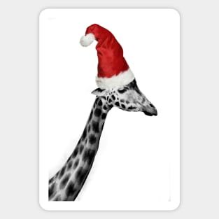 The Elegance of the Christmas Giraffe Sticker